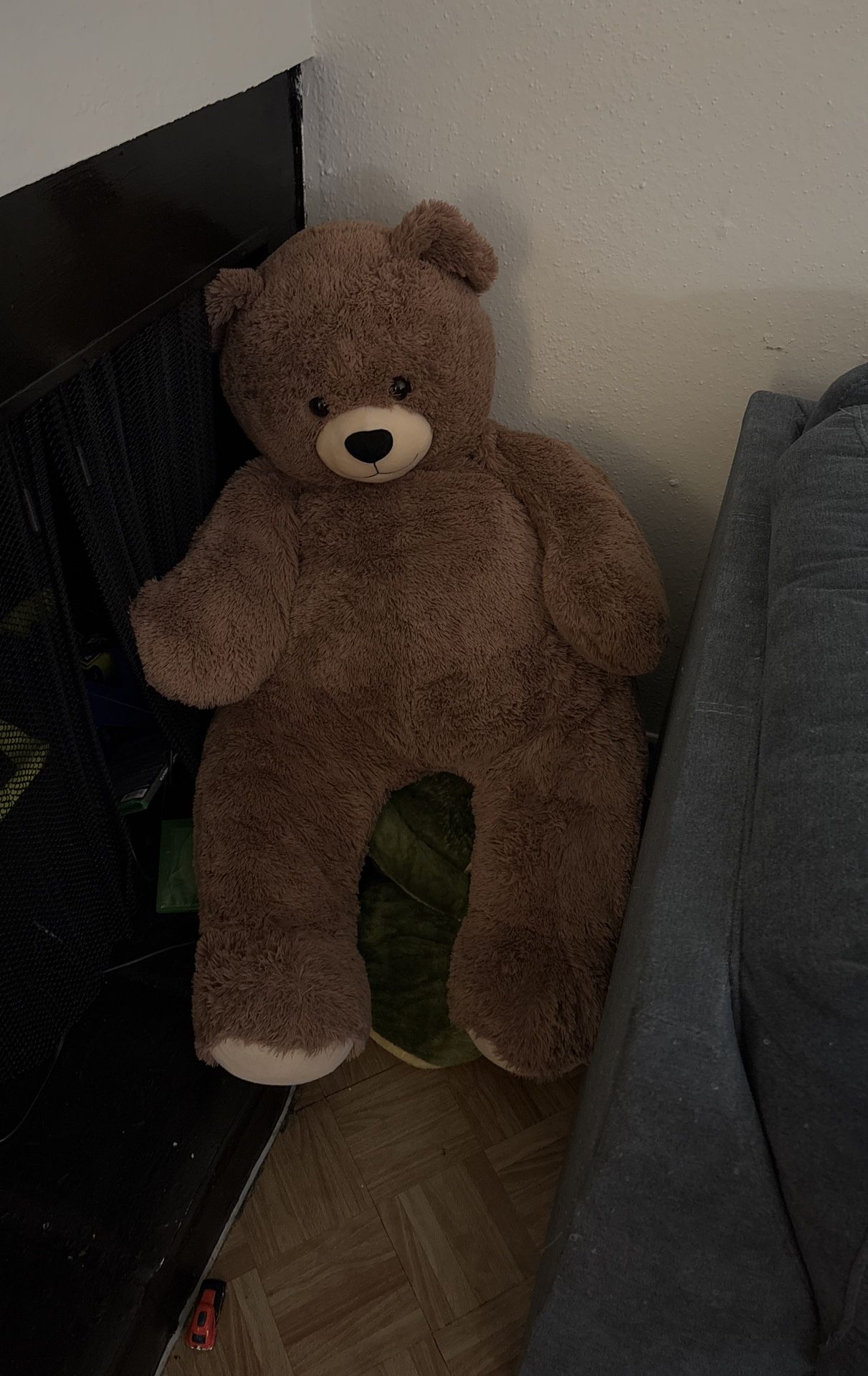 Teddy Bear