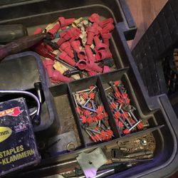 Sorting tools with Fox