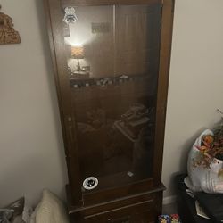 Gun Cabinet 