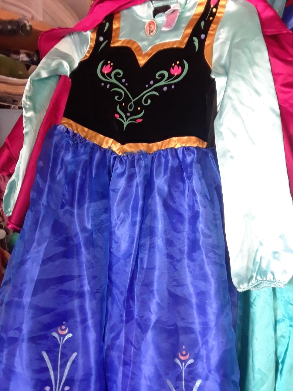 Princess Anna Costume