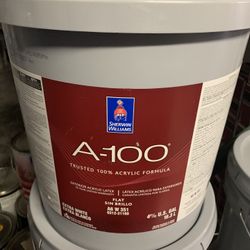 Extra White Exterior Acrylic Paints 