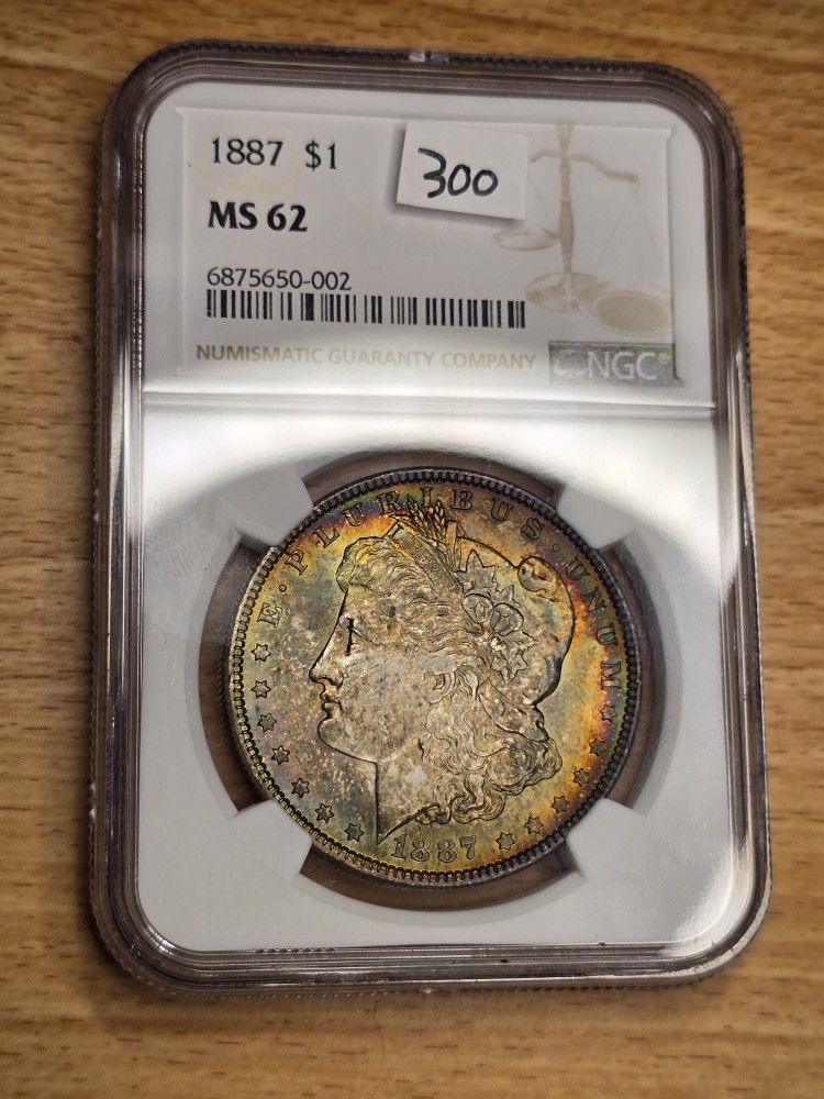 Toned Morgan Dollar