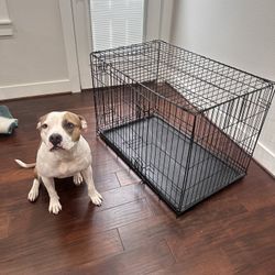 Fold & Carry Collapsible Wire Dog Crate