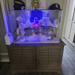 Salt Water Tank N Stand 60 Gal Complete Set Up 