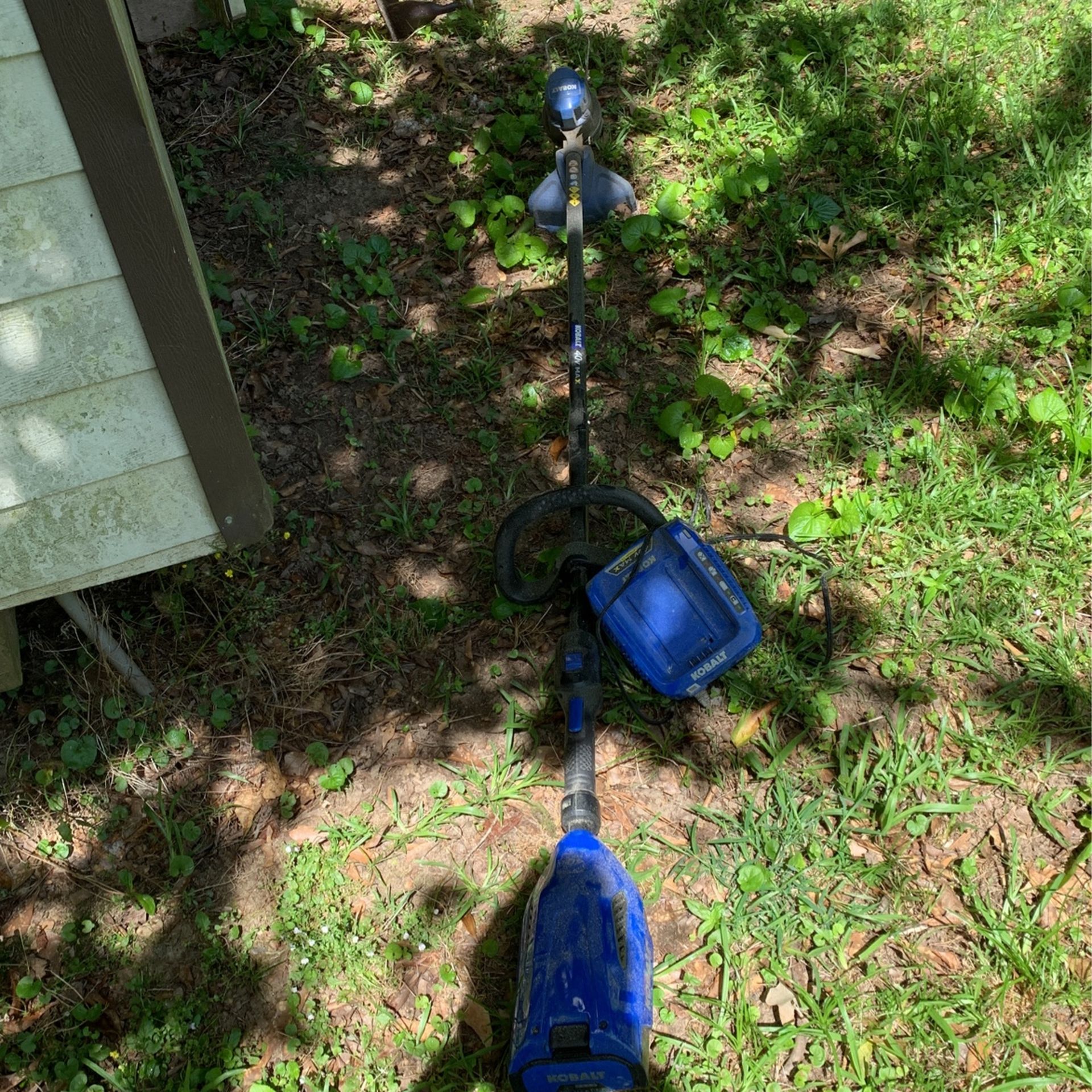 Electric Weed Eater