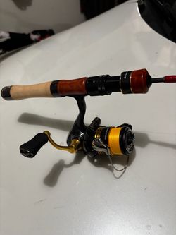 New Daiwa Legalis LT1000S & Pure Lure Ultralight Rod $100 takes setup