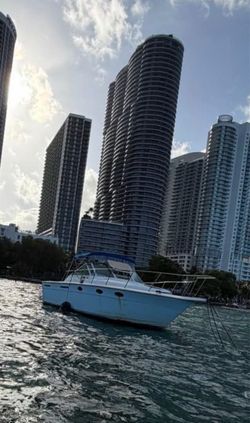 1985 Tiara 3100