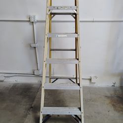Werner 6 ft fiberglass ladder