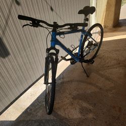 Cannondale CX 36-38" bikes size 