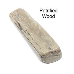 Petrified Genuine Wood from USA 31g