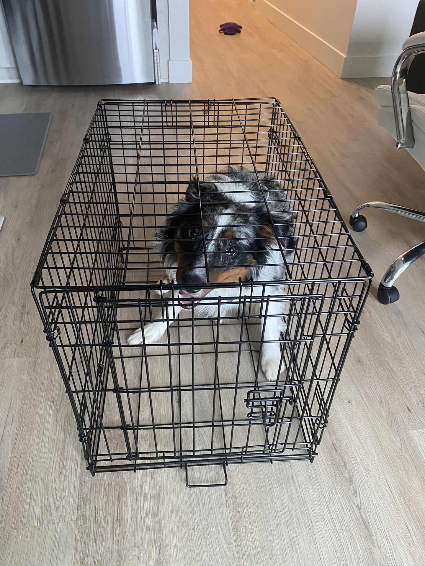 Dog Cage With Adjustable Divider
