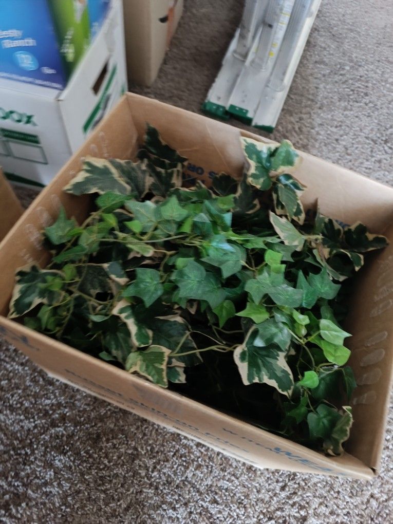 Fake Plant 1 Dollars...Craft , Eternal Green , Home Decor Leafs