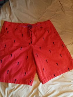 Merona Cotton women Shorts Size 12