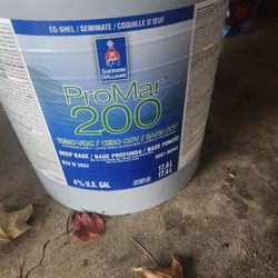 5 Gallon Paint 