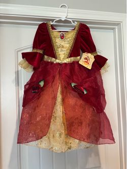 Princess Belle Gown
