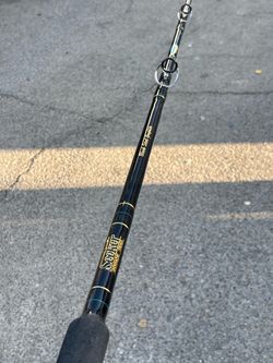Seeker rod with Abu Garcia Ambassadeur 600