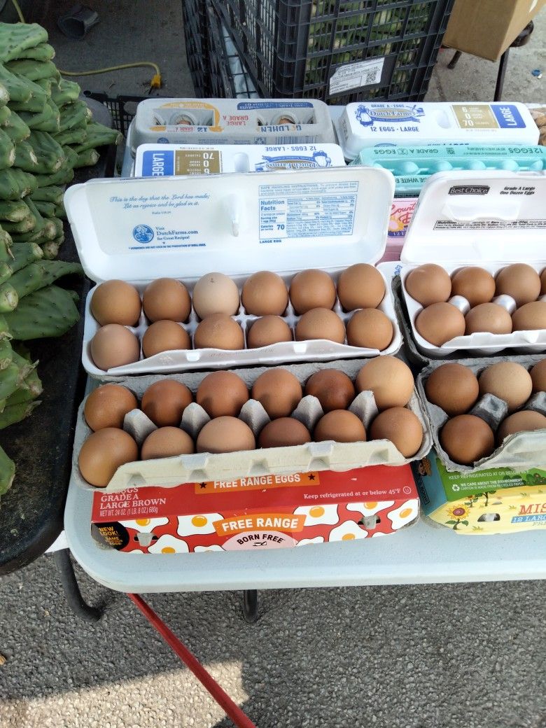Fresh Farm Eggs