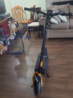 Electric Scooter Black and Gold {Baicycle}