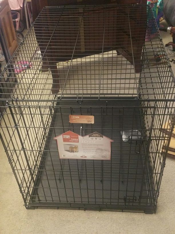 Midwest icrate 42x28x30 single door dog crate