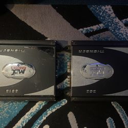 Amp