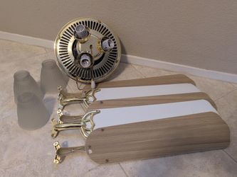 Ceiling fan