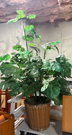 Fake/Artificial Plant