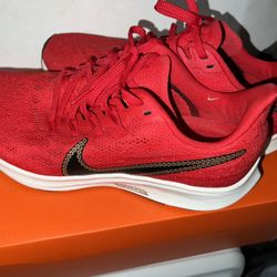 Nike Air Zoom Pegasus