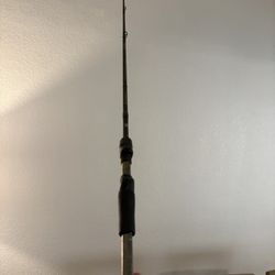 Black Out Bait caster Rod