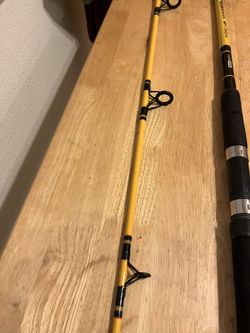 Silstar Big water fish bonz 10Ft. fishing rod/pole for Sale in Lathrop, CA  - OfferUp