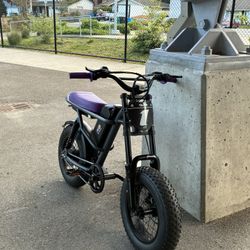  E BikeDriftslide D77