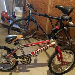 Schwinn Bike