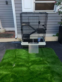 Rabbit Cages, Food, Grass Rug