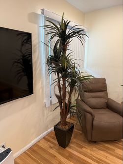 Faux Plant
