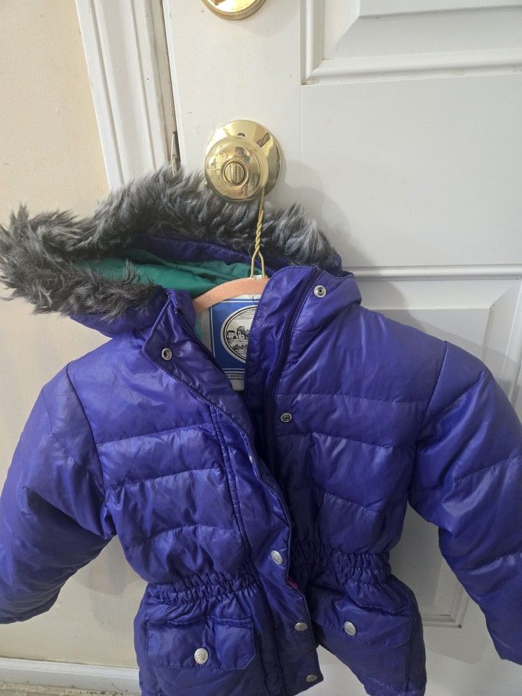 Purple Coat