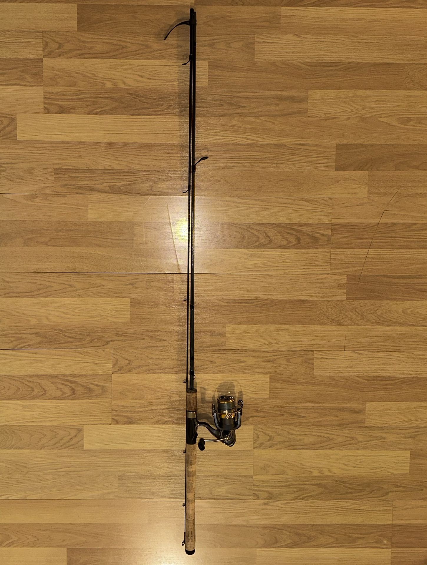 Spinning rod and reel combo for salmon fishing