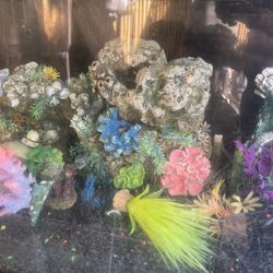 Fish Decorations Rocks Sand And More 