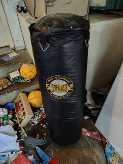 Everlast 80 pound heavy weight boxing punching bag