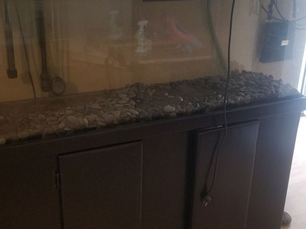 Reptile Tank