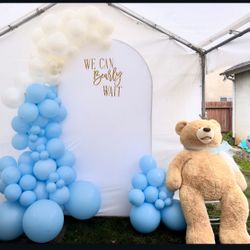Balloon Backdrops 
