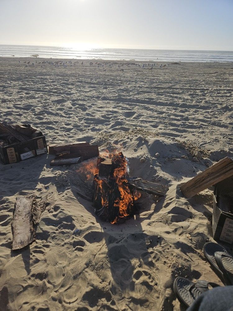 O, The BEST DRY Seasoned 2 years + Firewood, $6 for 14.5 Liter. Bins for $19.95 You can get any amount you want Pickups Full or partial. We are the s