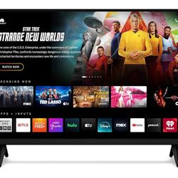 Vizio 40” TV