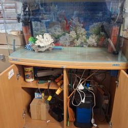 Fish Tank