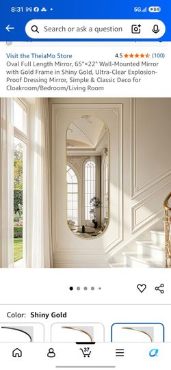 TheiaMo 65x22 gold frame mirror