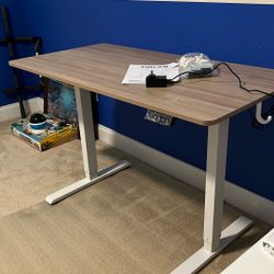 Standing electric adjustable computer office desk