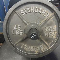 2 45lbs Weights