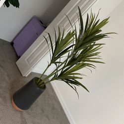 Fake Plant 