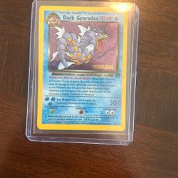 Dark Gyarados 8/82
