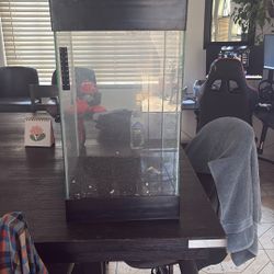 Fish Tank