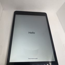 iPad mini 2