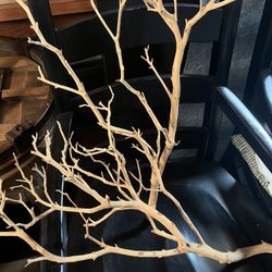  15 Manzanita Branches